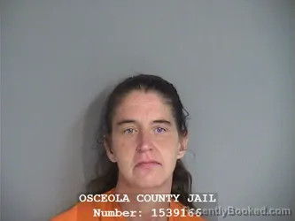 Mugshot of MELISSA AMY COX