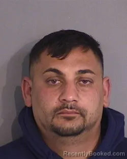Mugshot of MARIAN-DANIEL CALDARAS