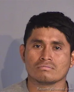 Mugshot of RICARDO TIUL-COY