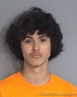 Mugshot of EDIMILSON JOSE LINARES-HERNANDEZ