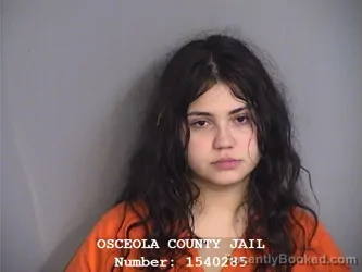 Mugshot of ANZELIKA MIGDALIA ORTIZ