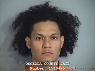 Mugshot of WILLYS JOSE PINA-MIJARES