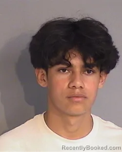 Mugshot of MARVIN REINERO CHAVARRIA-CANALES