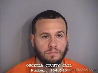 Mugshot of MIGUEL ROMAN