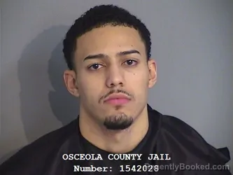 Mugshot of LUIS YARIEL IBARRY-CASTRO