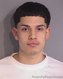 Mugshot of ROBERTO VELASQUEZ