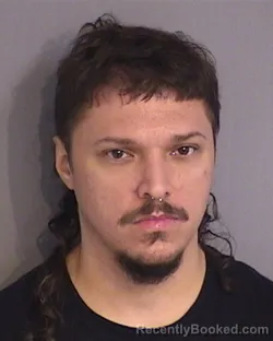 Mugshot of GERMAN JOEL BERRIOS