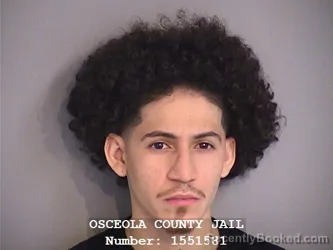Mugshot of MELSON XAHEL PEREZ-ROSARIO booked in Osceola County, Florida on May 8, 2026
