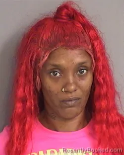 Mugshot of NATISHA LASHAY CLARK booked in Osceola County, Florida on May 13, 2026