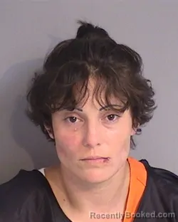 Mugshot of AMY LEANNE BAILEY booked in Osceola County, Florida on June 17, 2026