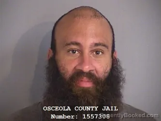 Mugshot of STEVEN LACOUR POPOVICH booked in Osceola County, Florida on July 1, 2026