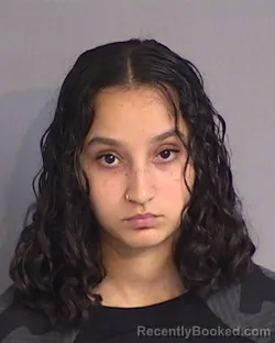 Mugshot of ARIANNA KAYLEAH HERNANDEZ booked in Osceola County, Florida on July 8, 2026