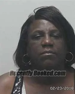 Mugshot of Sarah Louise Reese booked in Osceola County, Florida on August 11, 2026