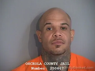 Mugshot of LEE ALBERT ROBINSON-VELEZ