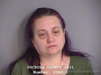 Mugshot of LEE ANN SUNNYCALB