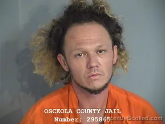 Mugshot of LUCAS DAVID WILKINS