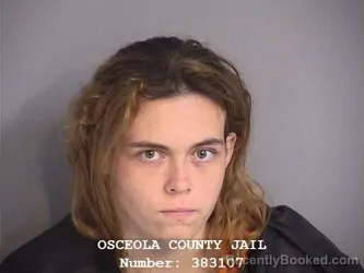 Mugshot of BREAHNNA MICHELLE COLLINS booked in Osceola County, Florida on June 19, 2026