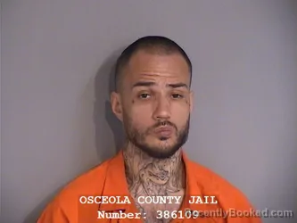 Mugshot of LUIS ALBERTO SAEZ