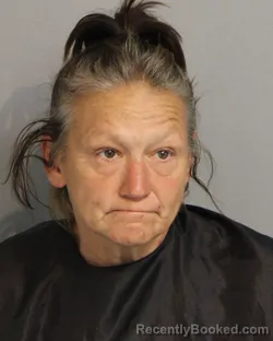 Mugshot of AMY DANIELLE FARMER