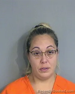 Mugshot of LEEANABETH MERCADO