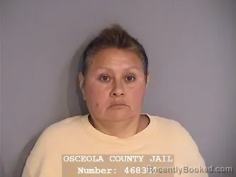 Mugshot of PATRICIA ELENA GAMBOA