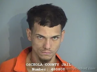 Mugshot of ROBERT PEDRO ROMAN-FUENTES booked in Osceola County, Florida on April 24, 2026