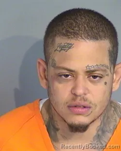 Booking photo from Osceola County, Florida