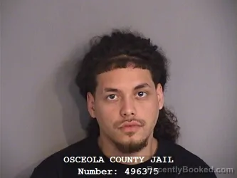 Mugshot of REYNALDO ELIJAH ROBLES