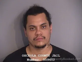 Mugshot of CARLOS ADOLFO CESPEDES