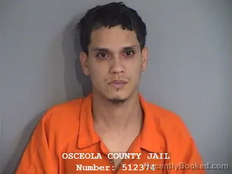 Mugshot of ANGEL ORLANDO NAVEDO