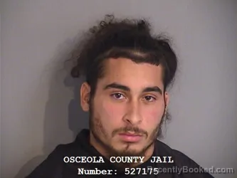 Mugshot of RICARDO MANUEL MARRERO