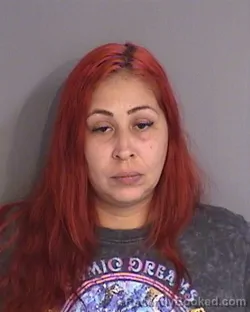 Mugshot of JENNIFER LEE CABAN