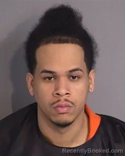 Mugshot of CHENIELL JOSE ABREU