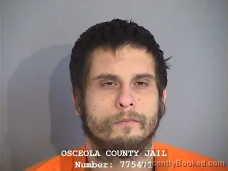 Mugshot of JUSTIN DAVID WALAS