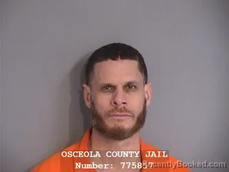 Mugshot of ANDRES EDWARD ALBERT-AMADOR