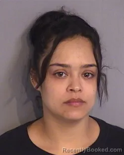 Mugshot of SHANDELIZ SANES