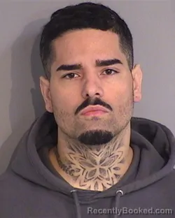 Mugshot of JONATHAN MICHEAL ROSARIO