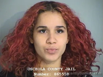 Mugshot of DANELY PAULINA JORGE
