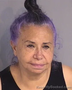 Mugshot of ESPERANZA HERNANDEZ booked in Osceola County, Florida on July 6, 2026