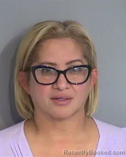 Mugshot of BRENDA LIZ CASTRO