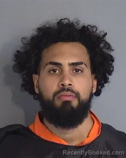 Mugshot of LUIS ALFONZO DIAZ-RESTO