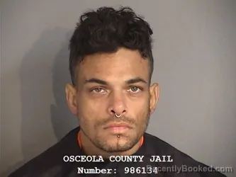 Mugshot of LUIS ENRIQUE ROMAN-RODRIGUEZ