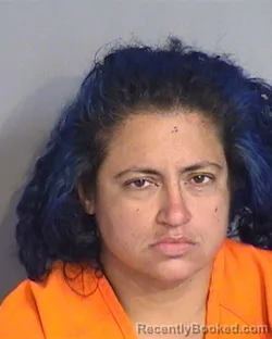 Mugshot of DIANED DELRIO-RIVERA