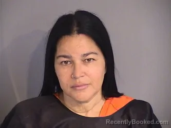 Mugshot of JANET BURGOS
