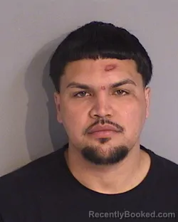 Mugshot of EVAN ELIE FELICIANO