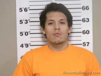 Mugshot of Diego Armando Gonzales