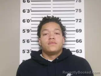 Mugshot of Ronald Bergen Long-Gasparik