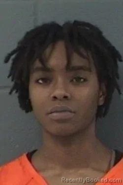 Mugshot of ANDREA MICHELLE DAVIS