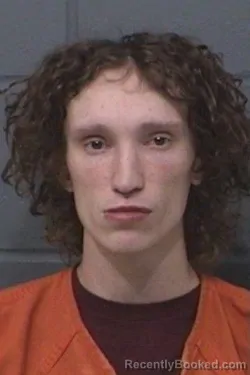 Mugshot of BRIGGAN MICHAEL KARL