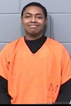 Mugshot of LAURYN CHANEL WILLINS